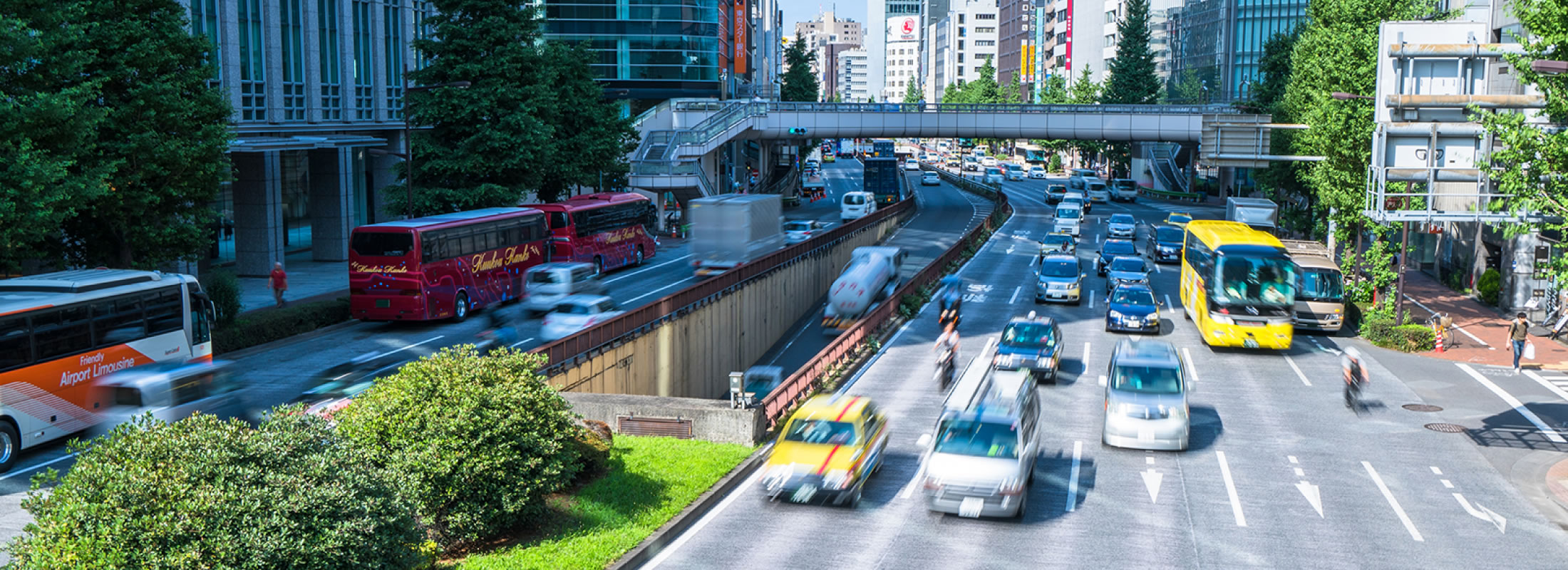 自動車共済